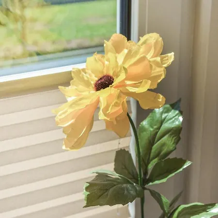 Zum Anleger H Hohen Wieschendorf